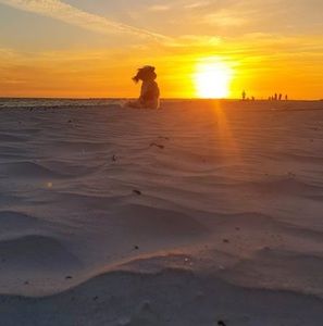 Meet your Posher, Keith